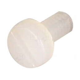 Şurub M2x4 Cap Rotund Creset Poliamidă 0,6mm | Electronic-mag.ro | Componente Electronice