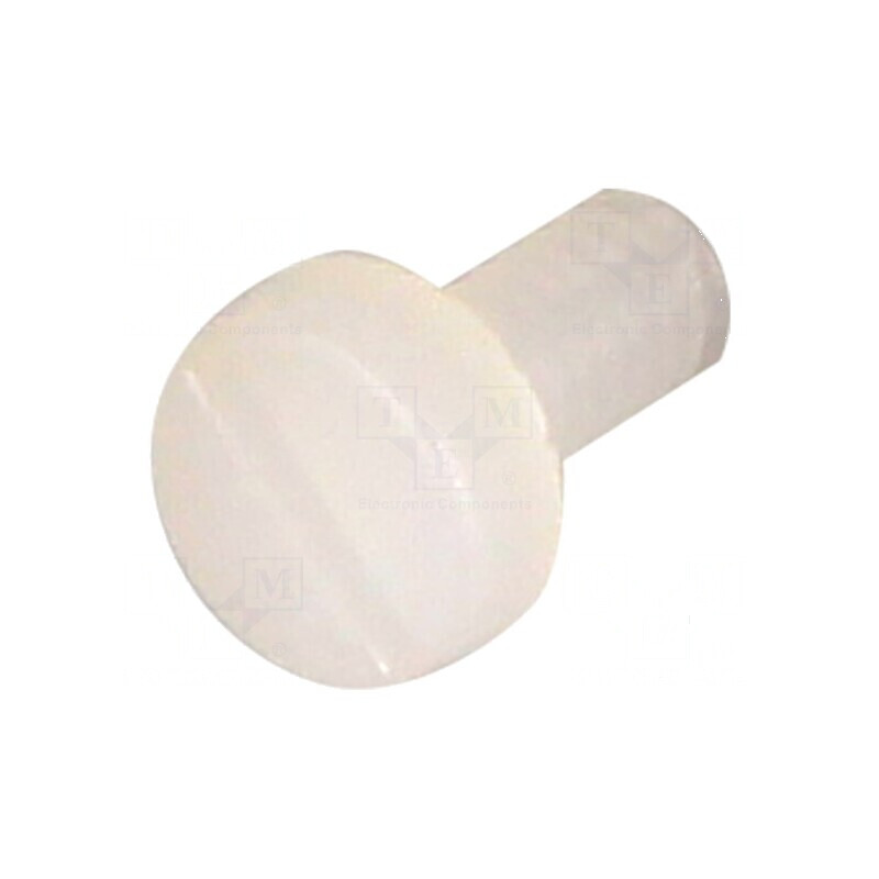 Şurub M2x4 Cap Rotund Creset Poliamidă 0,6mm | Electronic-mag.ro | Componente Electronice