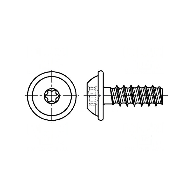 Şurub pentru plastic 2,5x6 Torx® PLUS 8IP oţel zincat | Electronic-mag.ro | Componente Electronice Şurub pentru plastic 2,5x6 Torx® PLUS 8IP oţel zincat | Electronic-mag.ro | Componente Electronice
