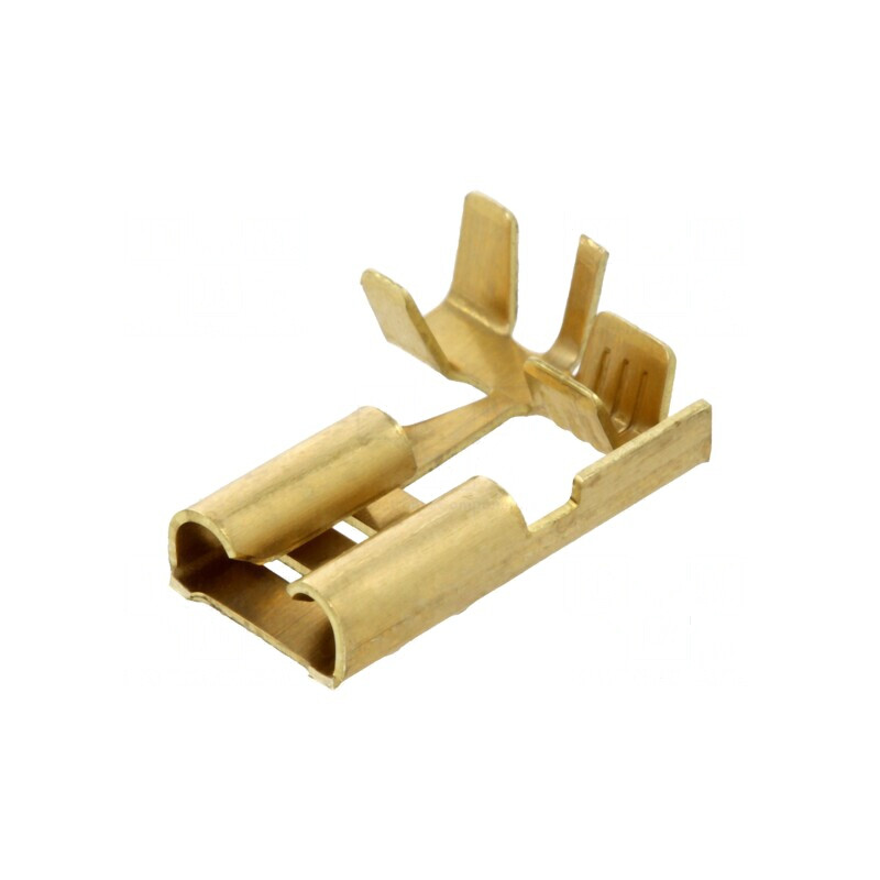 Terminal plat 6,3mm mamă 0,5-1mm2 crimpat pe cablu | Electronic-mag.ro | Componente Electronice Terminal plat 6,3mm mamă 0,5-1mm2 crimpat pe cablu | Electronic-mag.ro | Componente Electronice