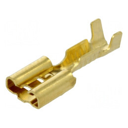 Terminal plat 6,3mm mamă 0,5-1mm² crimpat pe cablu | Electronic-mag.ro | Componente Electronice