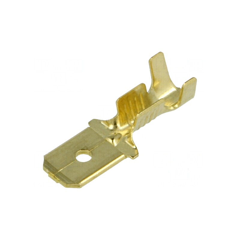 Terminal plat 6,3mm 0,8mm tată 1÷2,5mm² crimpat pe cablu | Electronic-mag.ro | Componente Electronice Terminal plat 6,3mm 0,8mm tată 1÷2,5mm² crimpat pe cablu | Electronic-mag.ro | Componente Electronice