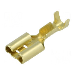 Terminal plat 6,3mm mamă 0,5-1mm² crimpat pe cablu | Electronic-mag.ro | Componente Electronice