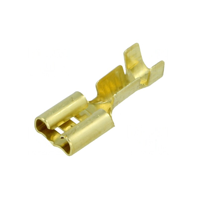 Terminal plat 6,3mm mamă 1÷2,5mm² crimpat pe cablu | Electronic-mag.ro | Componente Electronice Terminal plat 6,3mm mamă 1÷2,5mm² crimpat pe cablu | Electronic-mag.ro | Componente Electronice