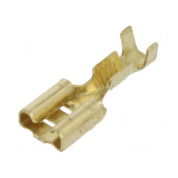 Terminal plat 6,3mm mamă pentru cablu 0,5-1,5mm2 | Electronic-mag.ro | Componente Electronice