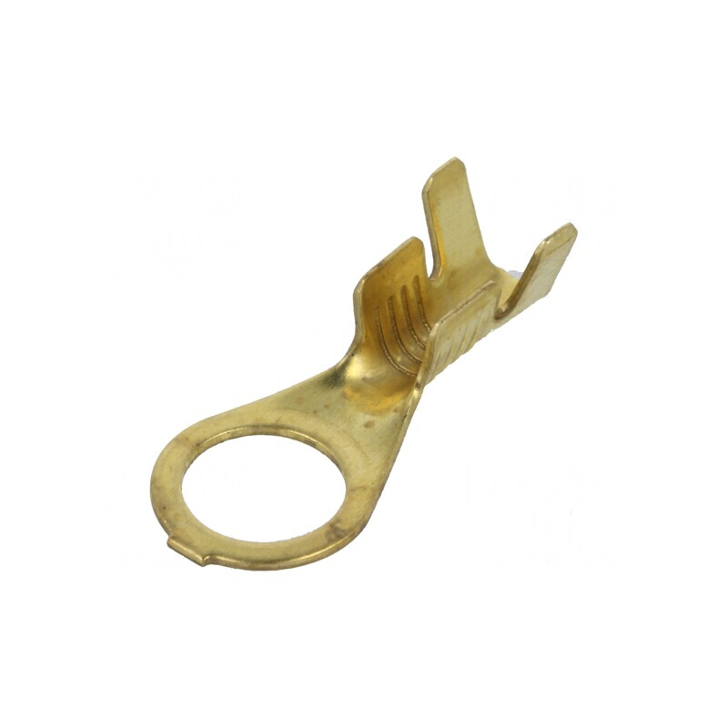 Vârf inelar M6 crimpat pe cablu drept neizolat 1÷2,5mm² | Electronic-mag.ro | Componente Electronice Vârf inelar M6 crimpat pe cablu drept neizolat 1÷2,5mm² | Electronic-mag.ro | Componente Electronice