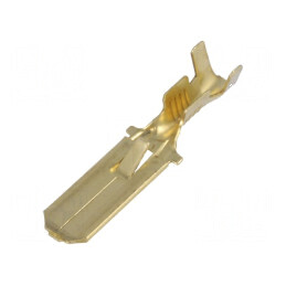 Terminal plat 6,3mm 0,8mm tată pentru cablu 0,75÷2mm² | Electronic-mag.ro | Componente Electronice