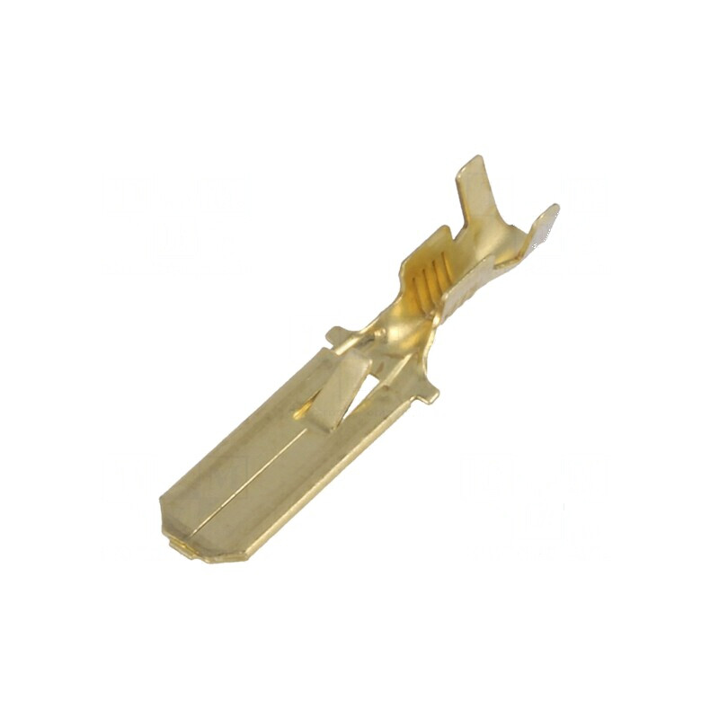 Terminal plat 6,3mm 0,8mm tată pentru cablu 0,75÷2mm² | Electronic-mag.ro | Componente Electronice Terminal plat 6,3mm 0,8mm tată pentru cablu 0,75÷2mm² | Electronic-mag.ro | Componente Electronice
