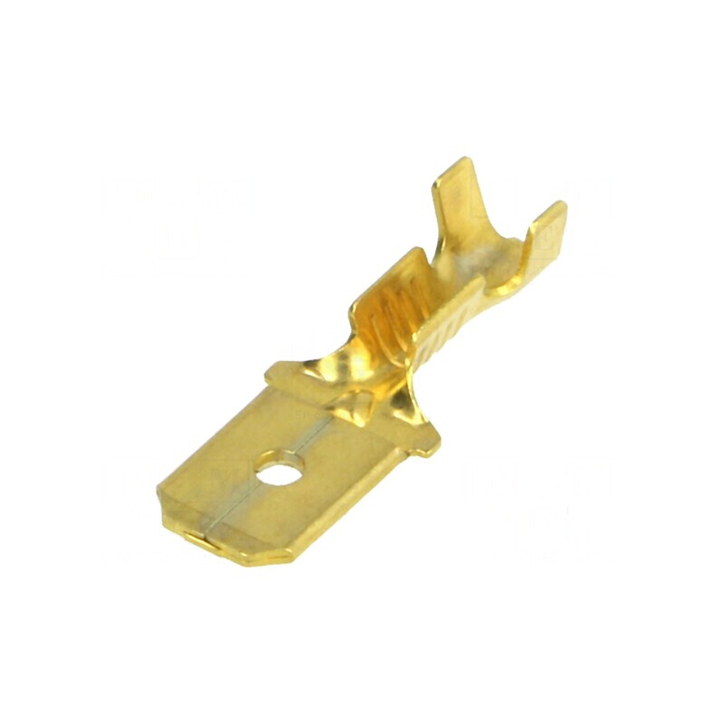 Terminal plat 6,3mm tată 0,5-1mm² crimpat pe cablu | Electronic-mag.ro | Componente Electronice Terminal plat 6,3mm tată 0,5-1mm² crimpat pe cablu | Electronic-mag.ro | Componente Electronice