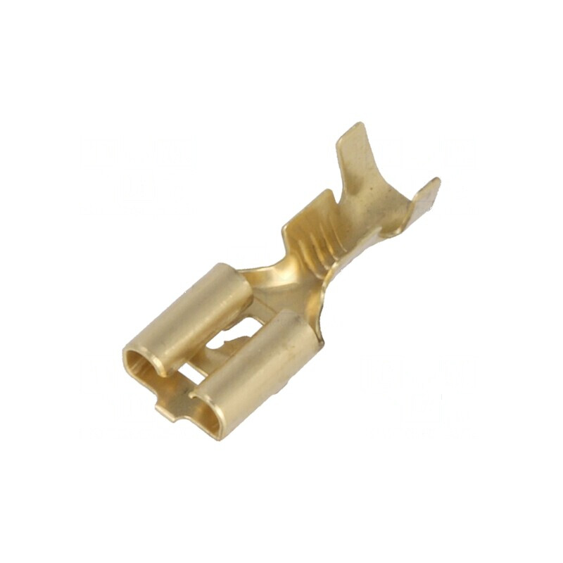Terminal plat 6,3mm mamă 1÷2,5mm² crimpat pe cablu | Electronic-mag.ro | Componente Electronice Terminal plat 6,3mm mamă 1÷2,5mm² crimpat pe cablu | Electronic-mag.ro | Componente Electronice