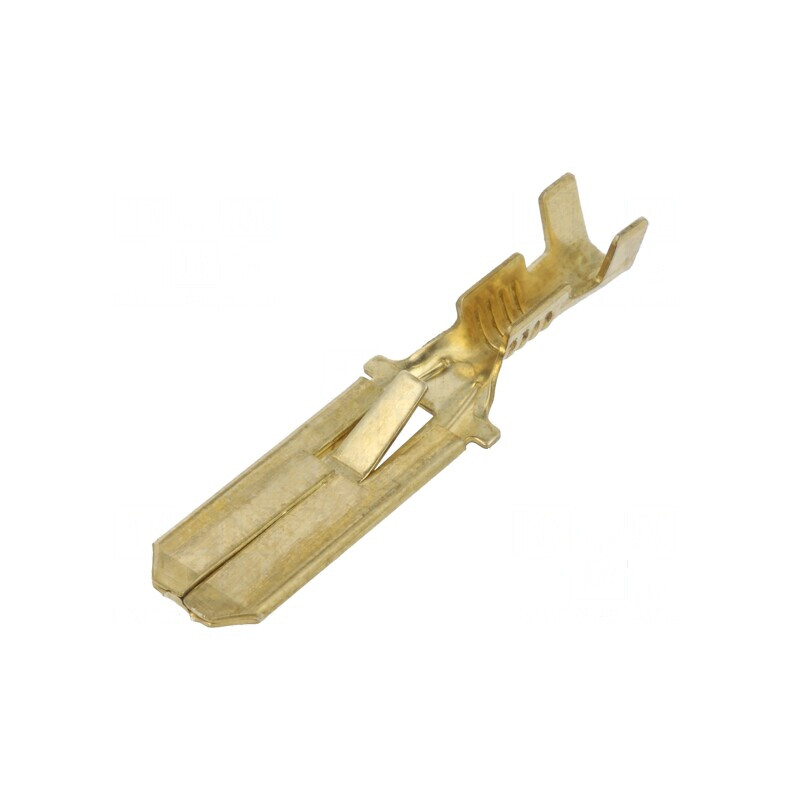 Terminal plat 6,3mm 0,8mm tată pentru cablu 0,5÷1,5mm2 crimpat | Electronic-mag.ro | Componente Electronice Terminal plat 6,3mm 0,8mm tată pentru cablu 0,5÷1,5mm2 crimpat | Electronic-mag.ro | Componente Electronice
