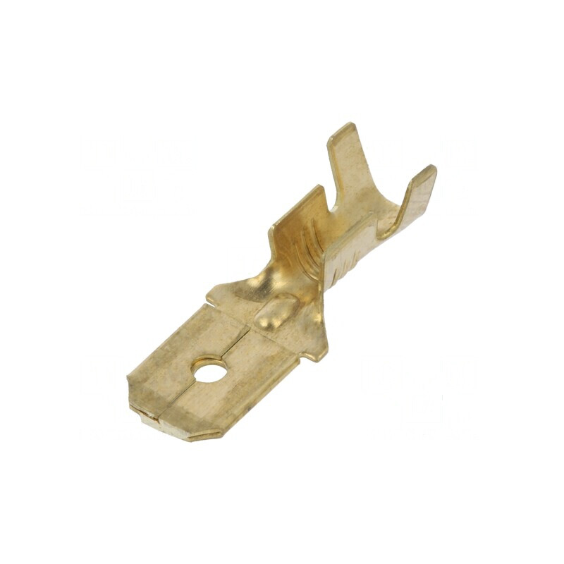Terminal plat 6,3mm tată 1÷2,5mm² crimpat pe cablu | Electronic-mag.ro | Componente Electronice Terminal plat 6,3mm tată 1÷2,5mm² crimpat pe cablu | Electronic-mag.ro | Componente Electronice