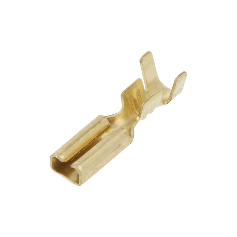 Terminal plat 2,8mm mamă 0,3÷1mm² crimpat pe cablu | Electronic-mag.ro | Componente Electronice Terminal plat 2,8mm mamă 0,3÷1mm² crimpat pe cablu | Electronic-mag.ro | Componente Electronice