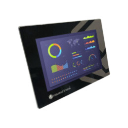 Calculator industrial; 12÷24VDC; Touchberry Pi; 2GBRAM; 7"; OUT: 5