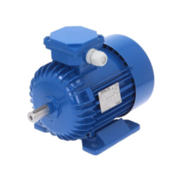 Motor: AC; 3-fazat; 0,55kW; 230/400VAC; 1400rot./min; IP54; gheară