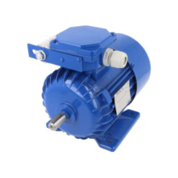 Motor: AC; 1-fazat; 0,37kW; 230VAC; 1370rot./min; 2,6Nm; IP54; 2,9A