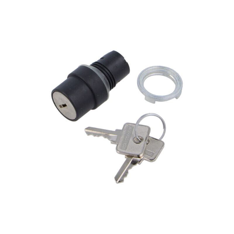 Comutator: rotativ cu cheie; 22mm; Poz.i stab: 1; fără; IP65; 46