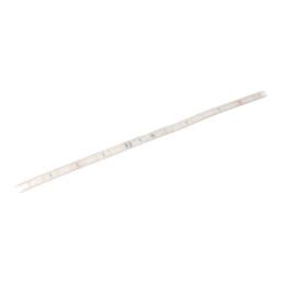 Bandă LED; alb neutru; LED/m: 56; 10mm; IP68; 120°; 6W/m; CRImin: 80