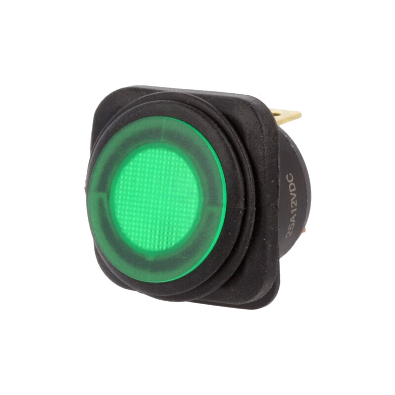 ROCKER; SPST; Poz: 2; ON-OFF; 25A/12VDC; verde; IP65; LED; R13-203-DC