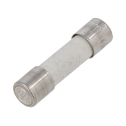 Siguranţă: siguranţă; întârziere; 1A; 250VAC
