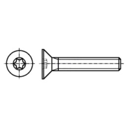 Şurub; M6x20; Cap: îngropat; Torx®; TX30; ISO 14581
