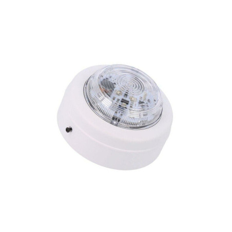 Semnalizator Luminos Flash Alb Solista Maxi 9-60VDC | Electronic-mag.ro | Componente Electronice