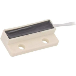 Senzor Reed 20W cu Cablu 2m | Electronic-mag.ro | Componente Electronice