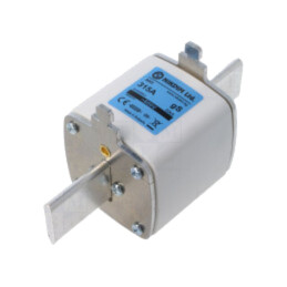 Siguranţă: siguranţă; 315A; 800VAC; gS; industrial; NH3