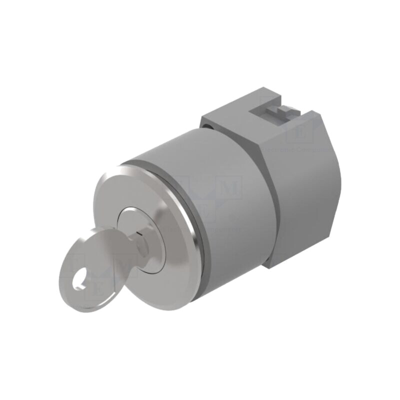 Comutator: rotativ cu cheie; 30mm; Poz.i stab: 2; argintie; fără