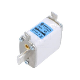 Siguranţă: siguranţă; 100A; 800VAC; gS; industrial; NH00