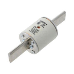 Siguranţă: siguranţă; 250A; 500VAC; gG; industrial; NHg