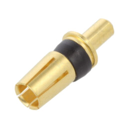 Pin; mamă