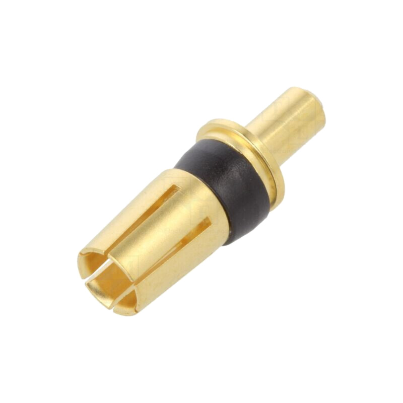 Pin; mamă