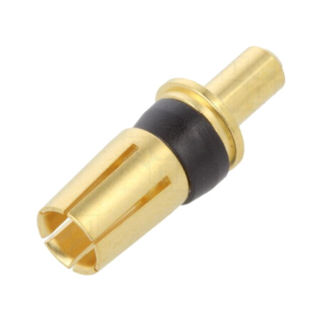 Pin; mamă