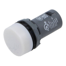 Lumină de control; 22mm; albă