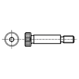 Şurub de păsuire; oţel; M12; 1,75; Lung.filet: 18mm; imbus; HEX 8mm