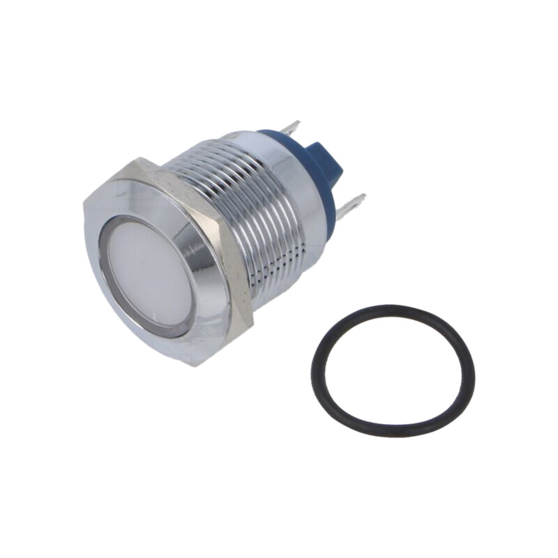 Lampă de control: LED; plată; albă; 12VDC; 12VAC; Ø19mm; alamă