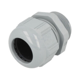Garnitură de etanşare; NPT1"; IP68; poliamidă; gri; SKINTOP®