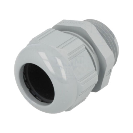 Garnitură de etanşare; NPT1"; IP68; poliamidă; gri; SKINTOP®