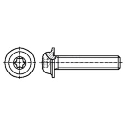Şurub; cu flanşă; M5x30; 0,8; Cap: buton; Torx®; TX25; oţel; zinc