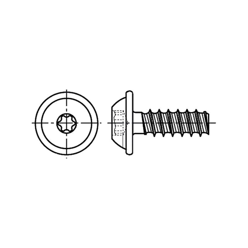 Şurub; pt.plastic; 5x20; Cap: buton; Torx® PLUS; 25IP; oţel; zinc