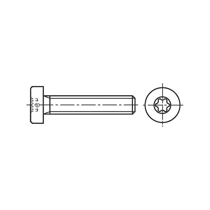 Şurub; M6x8; 1; Cap: cap rotund; Torx®; TX30; oțel inoxidabil A2