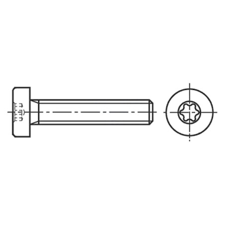 Şurub; M6x8; 1; Cap: cap rotund; Torx®; TX30; oțel inoxidabil A2
