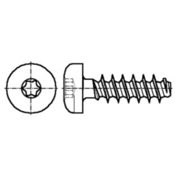 Şurub; pt.plastic; 5x12; Cap: cap rotund; Torx®; TX20; oţel; zinc