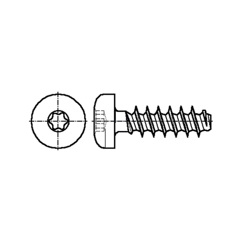 Şurub; pt.plastic; 5x12; Cap: cap rotund; Torx®; TX20; oţel; zinc Şurub; pt.plastic; 5x12; Cap: cap rotund; Torx®; TX20; oţel; zinc