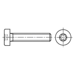 Şurub; M5x20; 0,8; Cap: cap rotund; Torx®; TX25; oţel; zinc