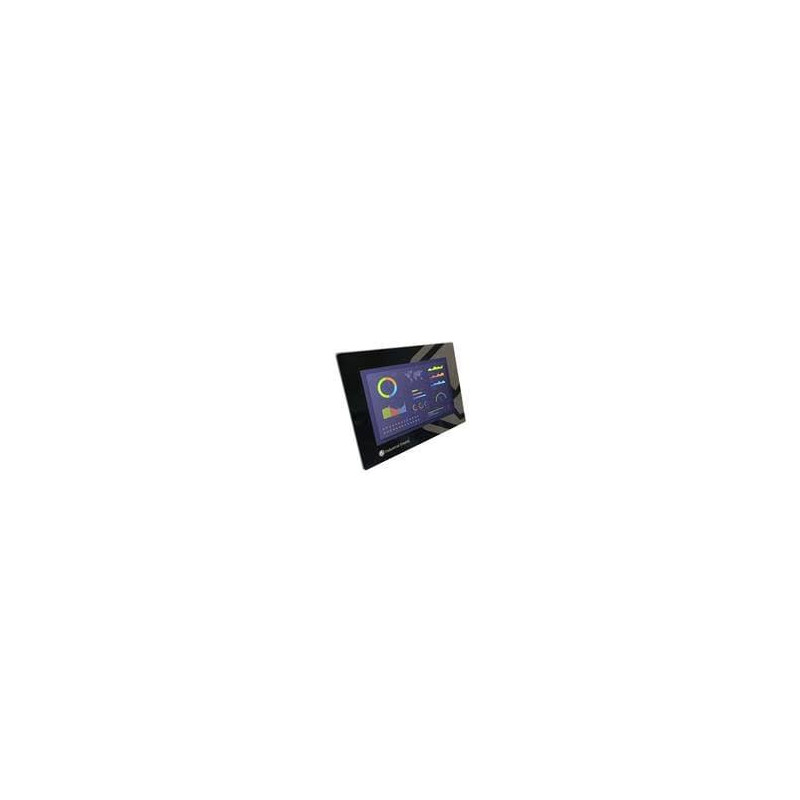 Calculator industrial; 12÷24VDC; Touchberry Pi; 2GBRAM; 10,1"