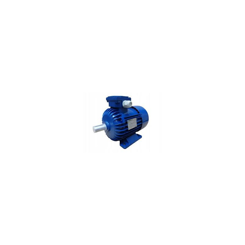 Motor: AC; 1-fazat; 0,37kW; 230VAC; 1320rot./min; 2,68Nm; IP54; 3,2A