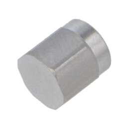 Accesorii: capac protecţie; IP67; Utilizare: SMA soclu