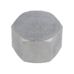 Term.îmbinare: capac de protecţie; hexagonală,mamă; max.10,5bar